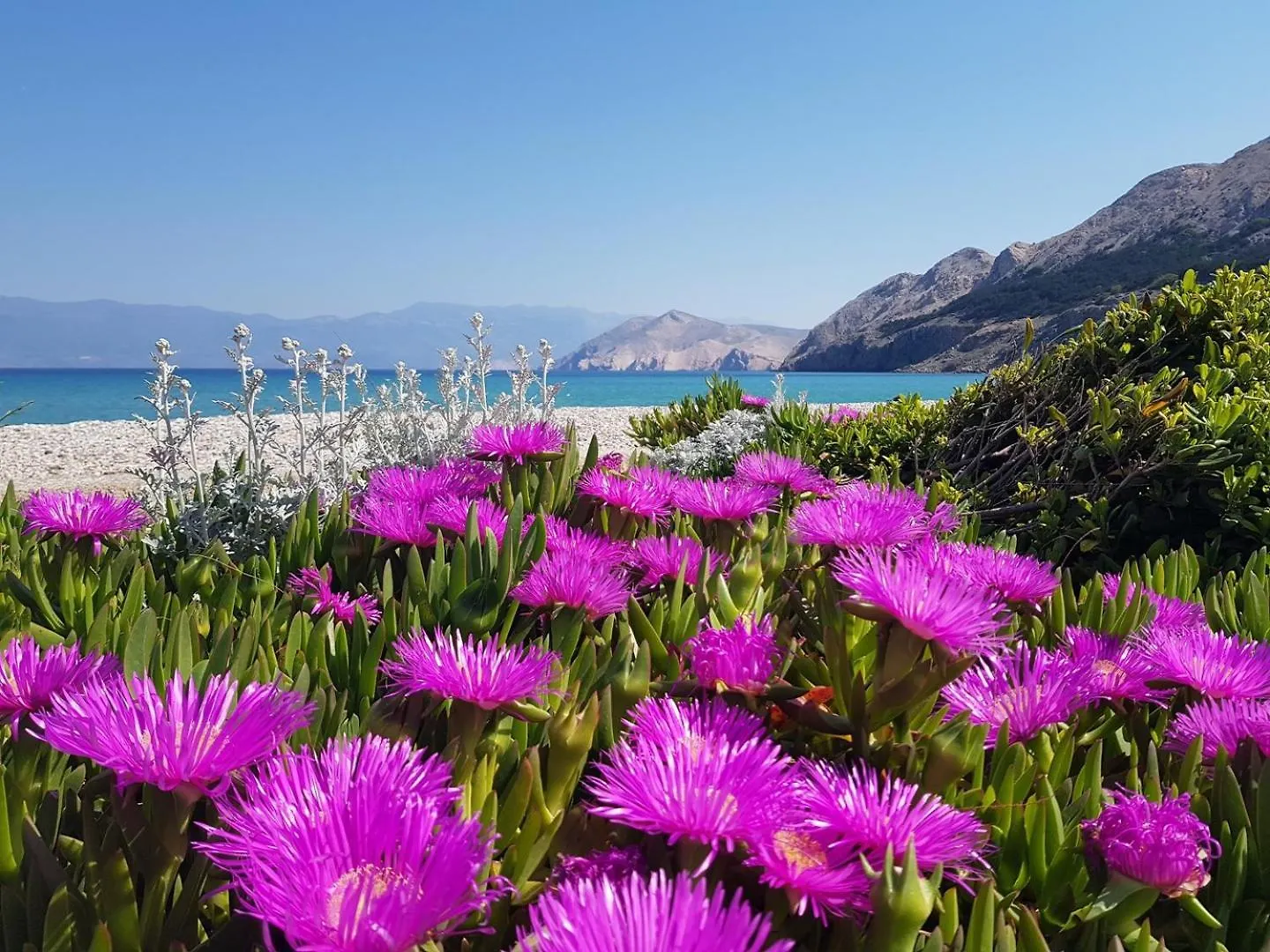 Apartments Gabriela Baška Κροατία